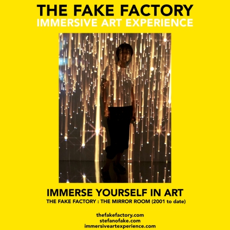 THE FAKE FACTORY - THE MIRROR ROOM IMMERSIVE ART_00298